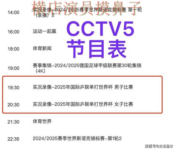 世界杯买球平台官网直达直播怎么看？揭秘给你答案（世界杯直播）